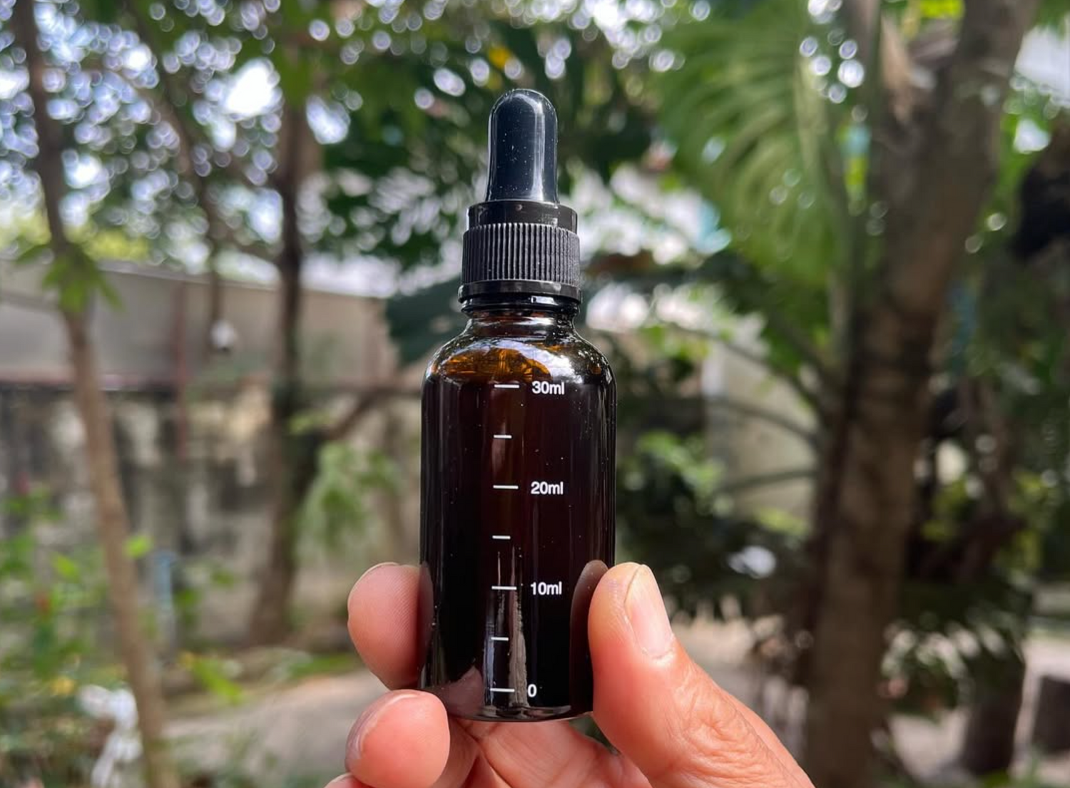 CBD Oil